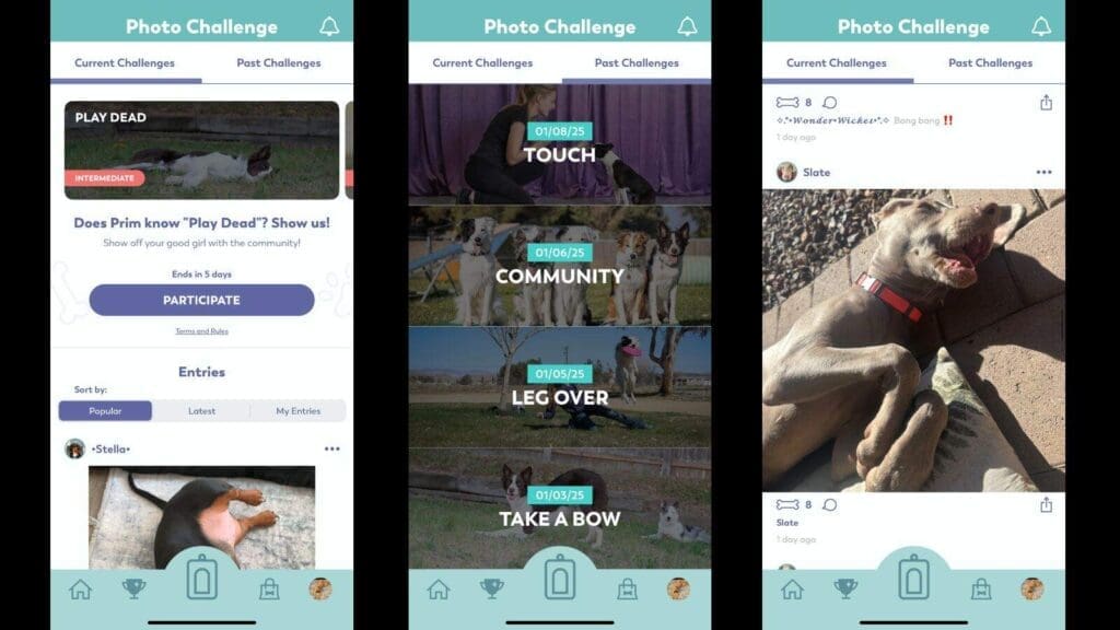 Community challenges offer a fun way to engage with Puppr Community challenges offer a fun way to engage with Puppr