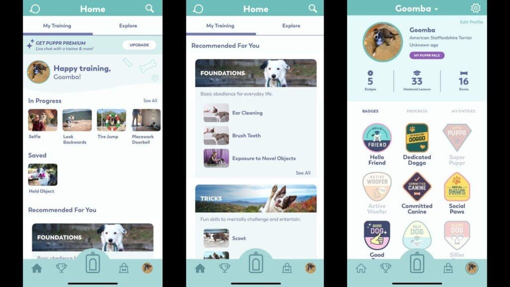 First impressions of the Puppr app First impressions of the Puppr app