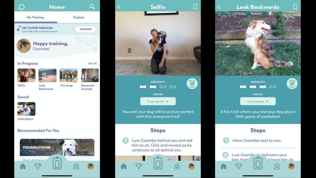 In progress and saved features of the app In progress and saved features of the app