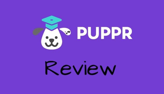 Puppr Review A Review Of Our Favorite Dog Training App Puppr Review A Review Of Our Favorite Dog Training App