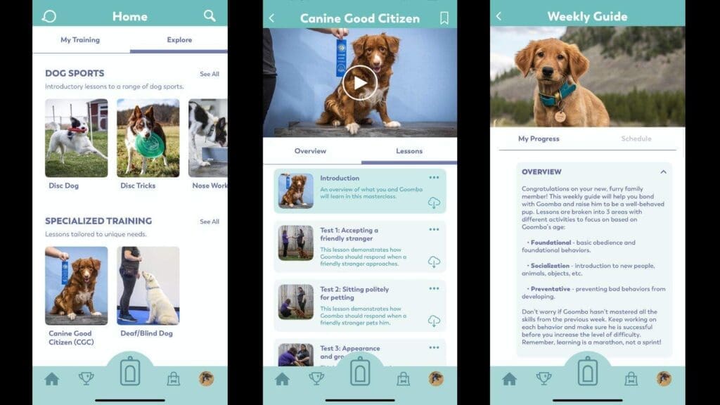 Puppr premium offers additional lessons masterclasses live chat and a puppy guide Puppr premium offers additional lessons masterclasses live chat and a puppy guide