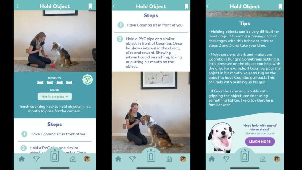 Pupprs lesson structure is easy to understand and teach Pupprs lesson structure is easy to understand and teach