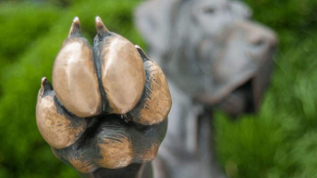 Grey dog holding up paw as stop sign Grey dog holding up paw as stop sign