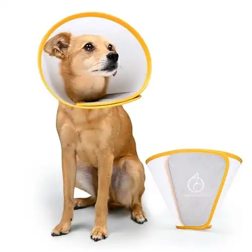 Recovery Cone for Dogs with Soft Microfiber Lining - Large