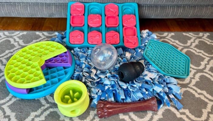 Our Favorite Canine Enrichment Toys Your Dog Will Love Our Favorite Canine Enrichment Toys Your Dog Will Love
