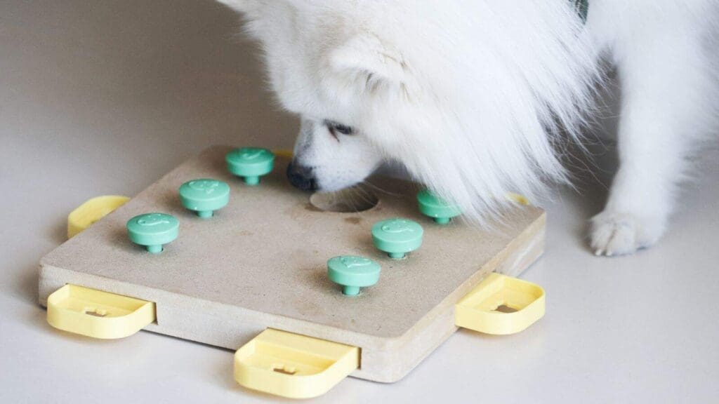 Puzzle boards can offer a lot of variety in your dogs enrichment options Puzzle boards can offer a lot of variety in your dogs enrichment options