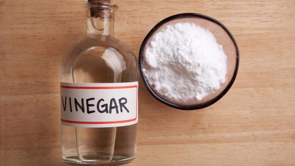 How to clean a dog collar is easy with baking soda and vinegar How to clean a dog collar is easy with baking soda and vinegar