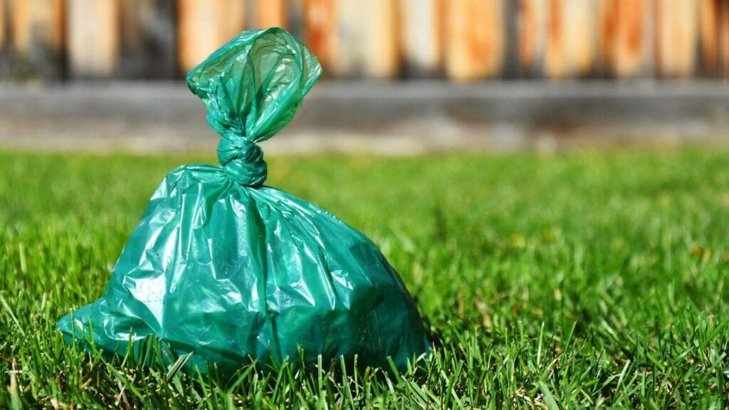 Green plastic bag of dog poop in a yard Green plastic bag of dog poop in a yard