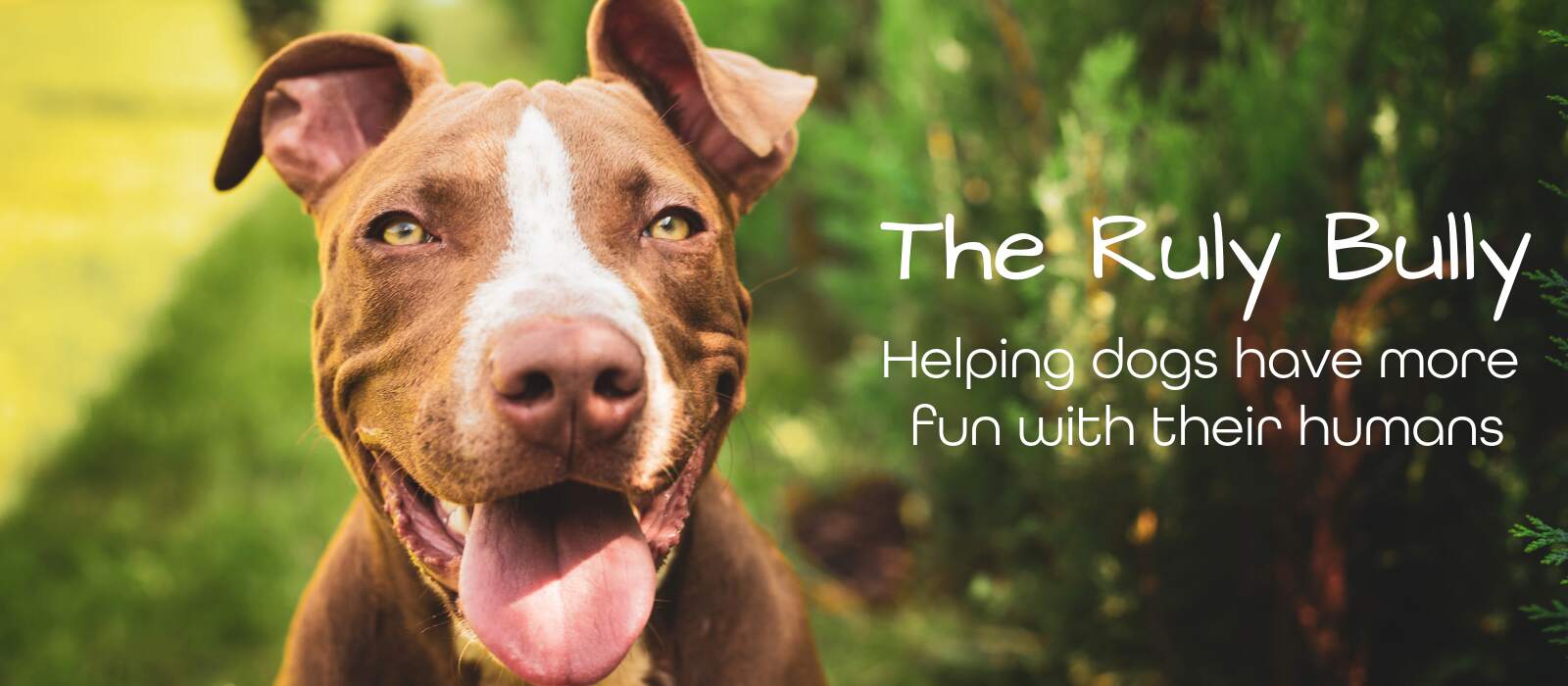 The Ruly Bully image The Ruly Bully hero image